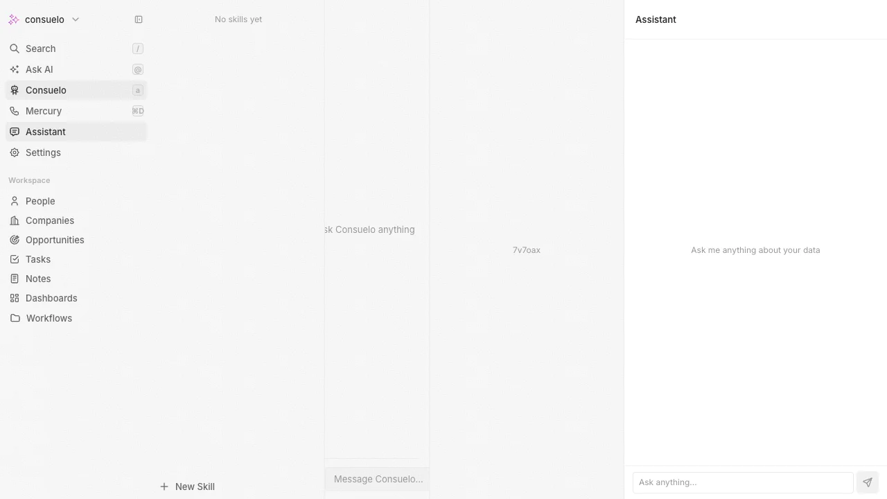 Consuelo assistant preview